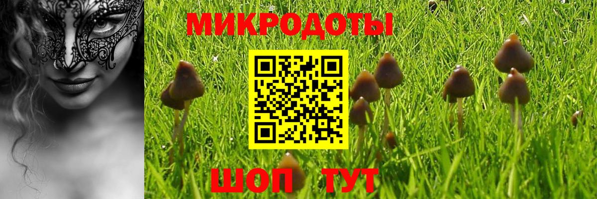 Коряжма  Галлюциногенные грибы мицелий  Вход с VPN 
