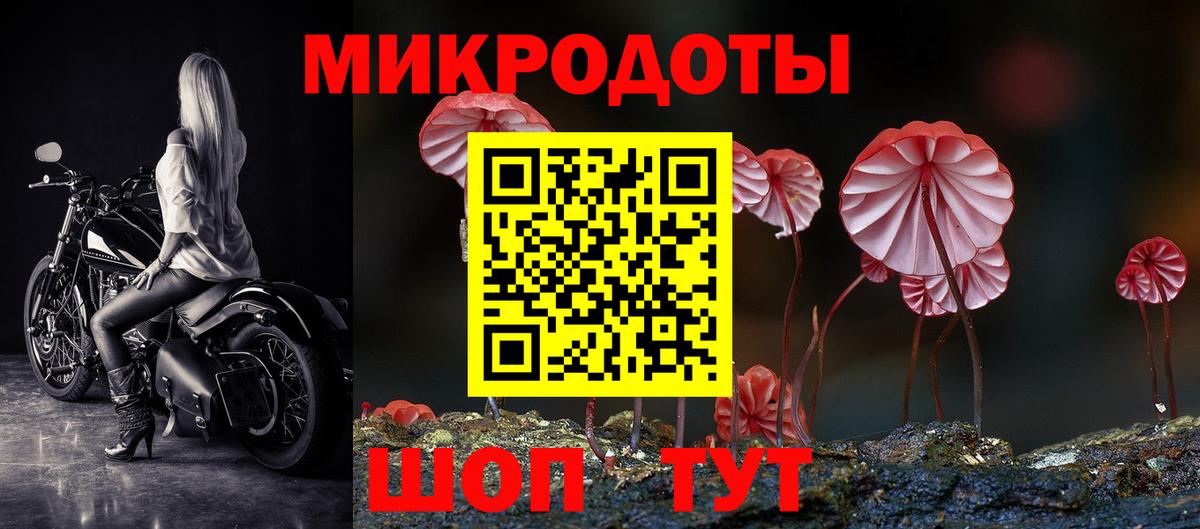 Галлюциногенные грибы GOLDEN TEACHER Коряжма