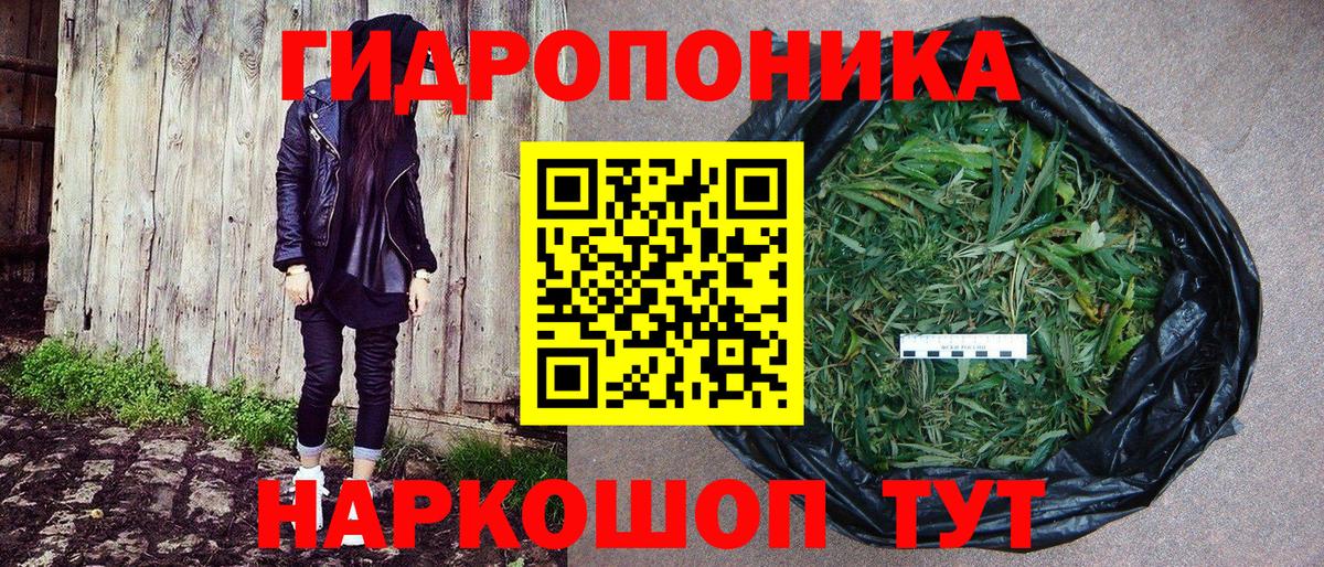 Коряжма  МАРИХУАНА MAZAR  Бошки марихуана White Widow  Бошки марихуана OG Kush  Вход с VPN  Конопля OG Kush 